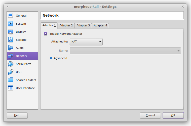 Guest NAT Adapter